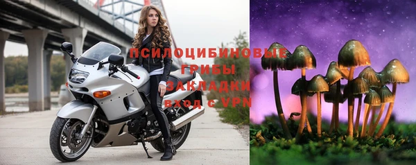 2c-b Алексин