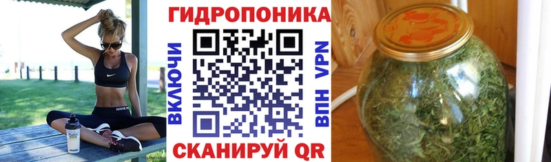 Конопля Ganja  Кашин 